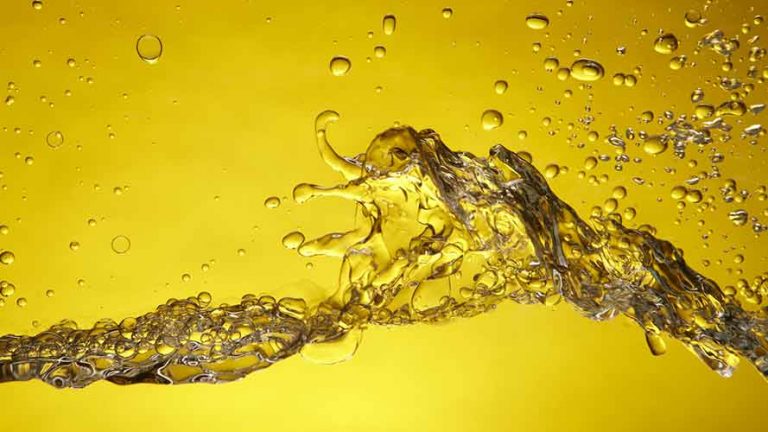 Olio Vegetale Normativa e applicazione Motori